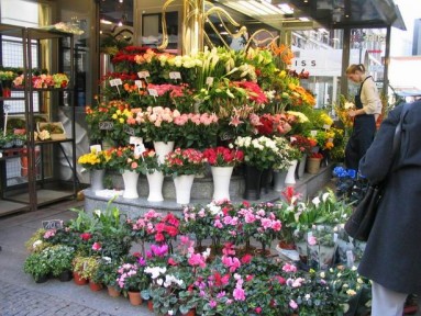 цветочный бизнес